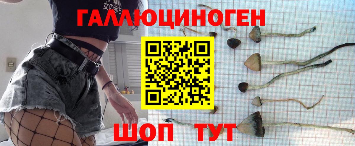 Галлюциногенные грибы Magic Shrooms Старая Купавна